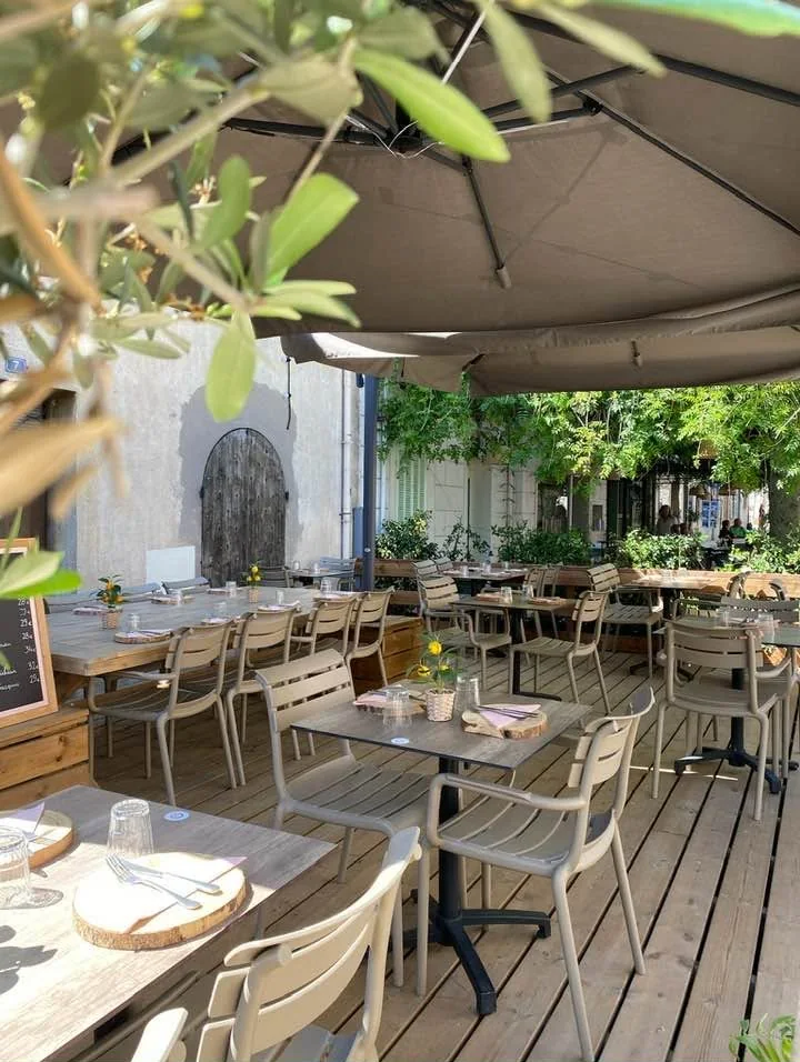 La terrasse vue entre les branches d'un olivier : tables, parasols et verdure